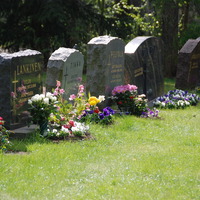 Hautakivirivistö kesällä Liedon hautausmaalta.