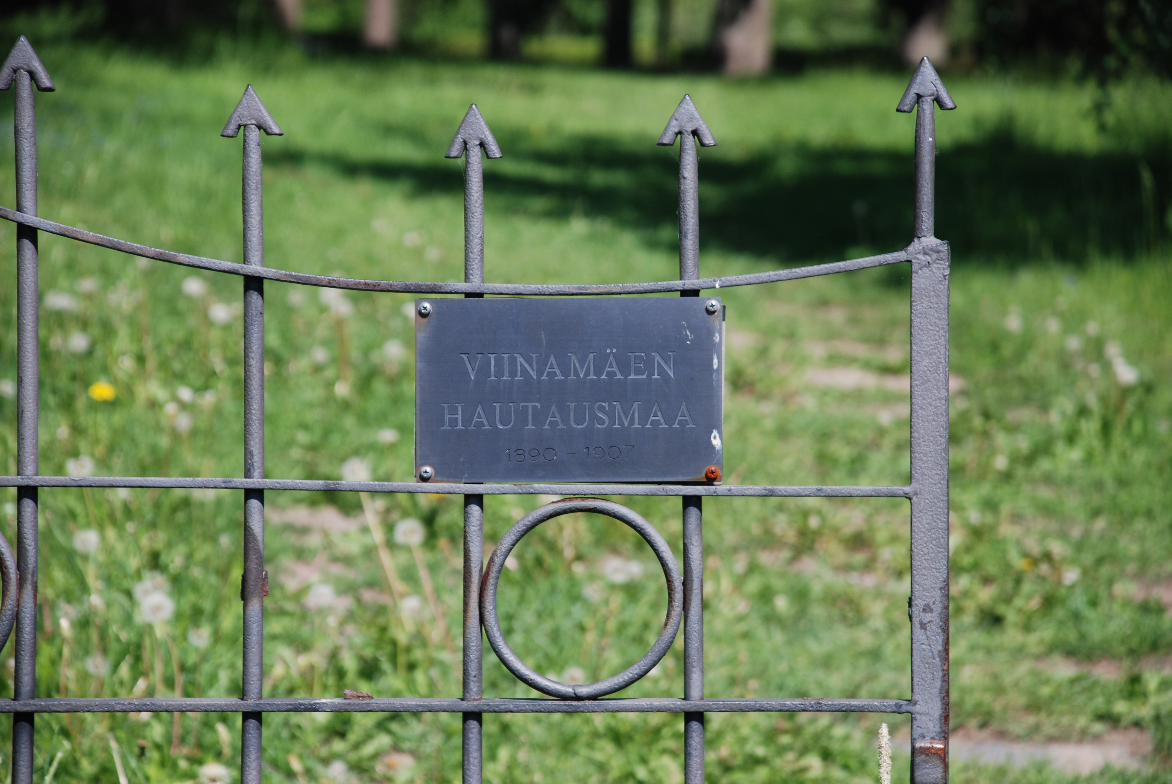 Lähikuvassa rautaportti jossa teksti Viinamäen hautausmaa.