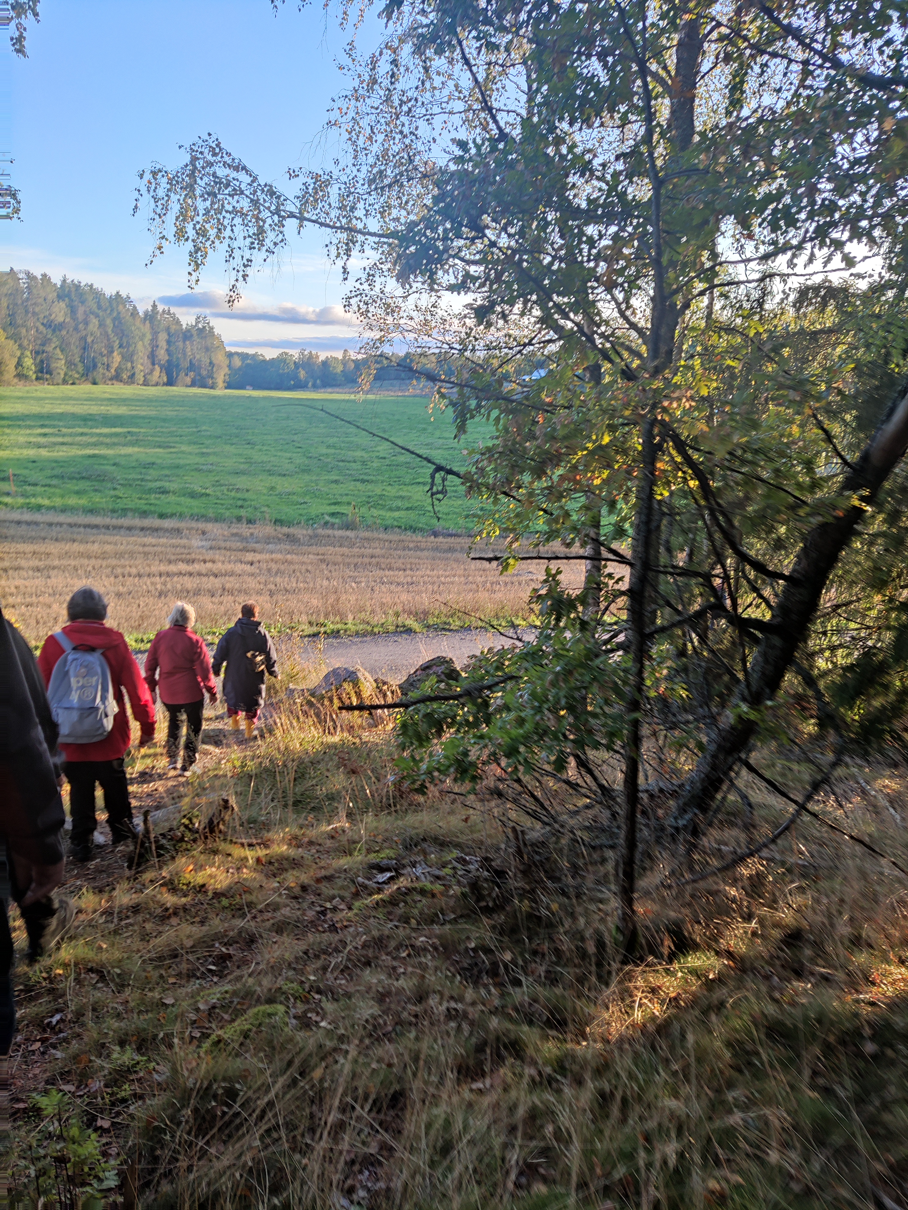 Kävelijöitä pelto- ja metsämaisemassa, sinitaivasta.