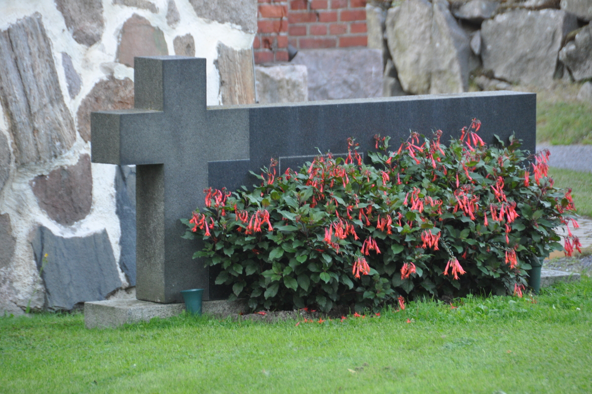 Avaa kuva isommaksi Liedon kirkon hautausmaa_2013 (58)_L.